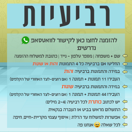 משחק הזיכרון-משחק קלפים לכל המשפחה עם התמונות שלכם