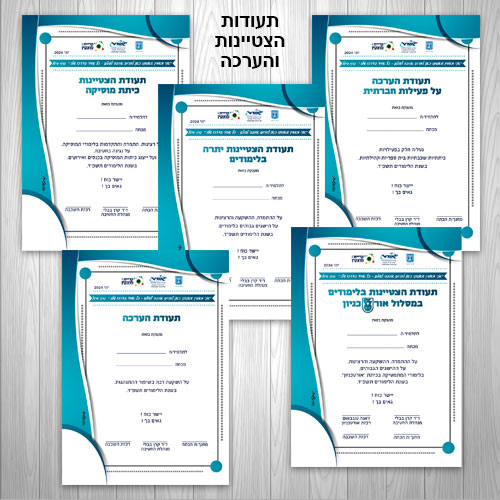 תעודת הצטיינות סוף שנה