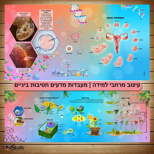 עיצוב מרחבי למידה | מהעיצוב ועד להתקנה - מעבדות מדעים חטיבות ביניים