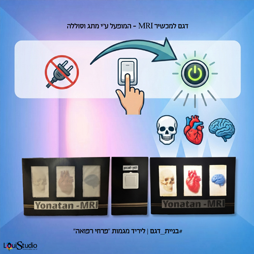 בניית דגם מכשיר MRI ליריד מגמות - פרחי רפואה